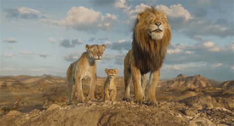 lion king tv tropes